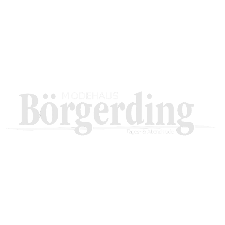 Börgerding Logo Transparent